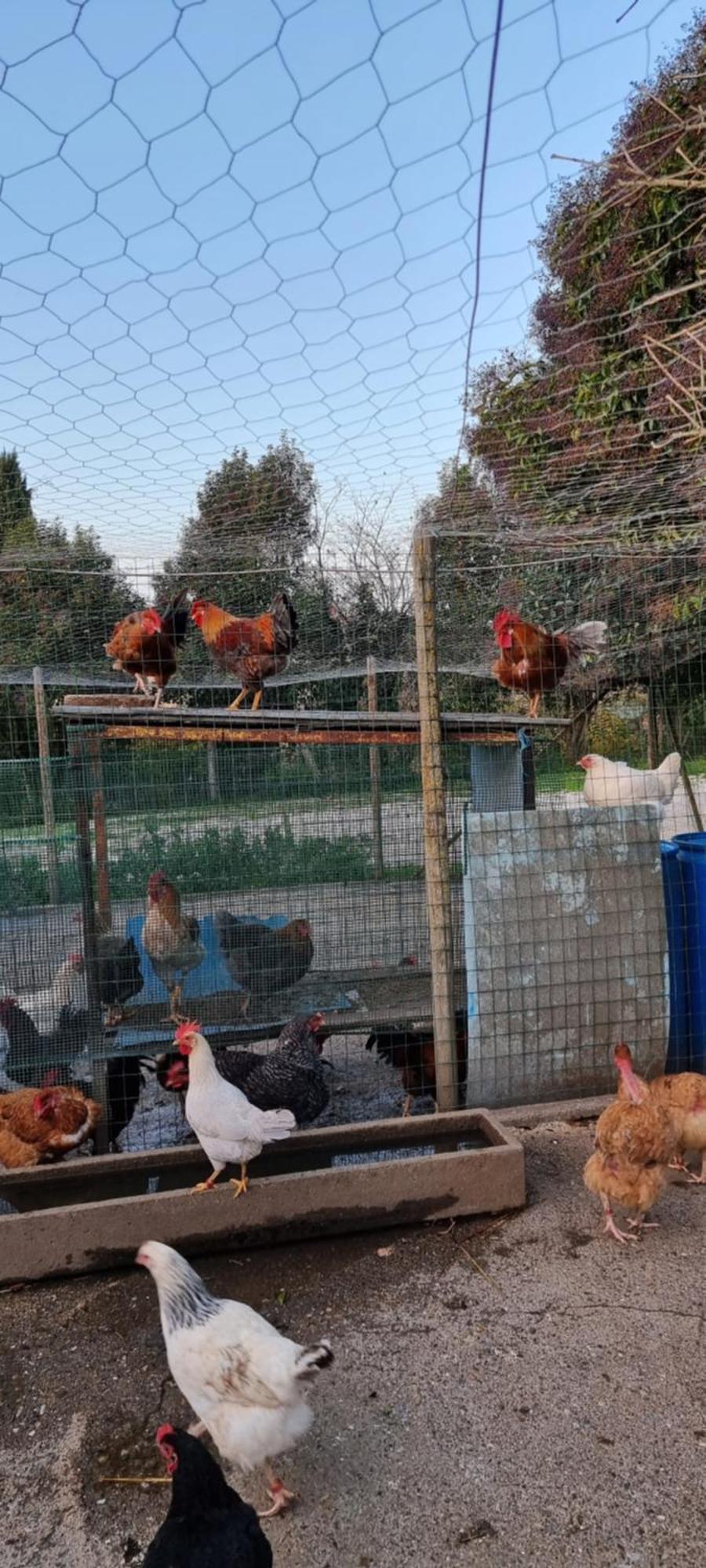 מונטלצ'ינו Agriturismo S. Eurosia מראה חיצוני תמונה
